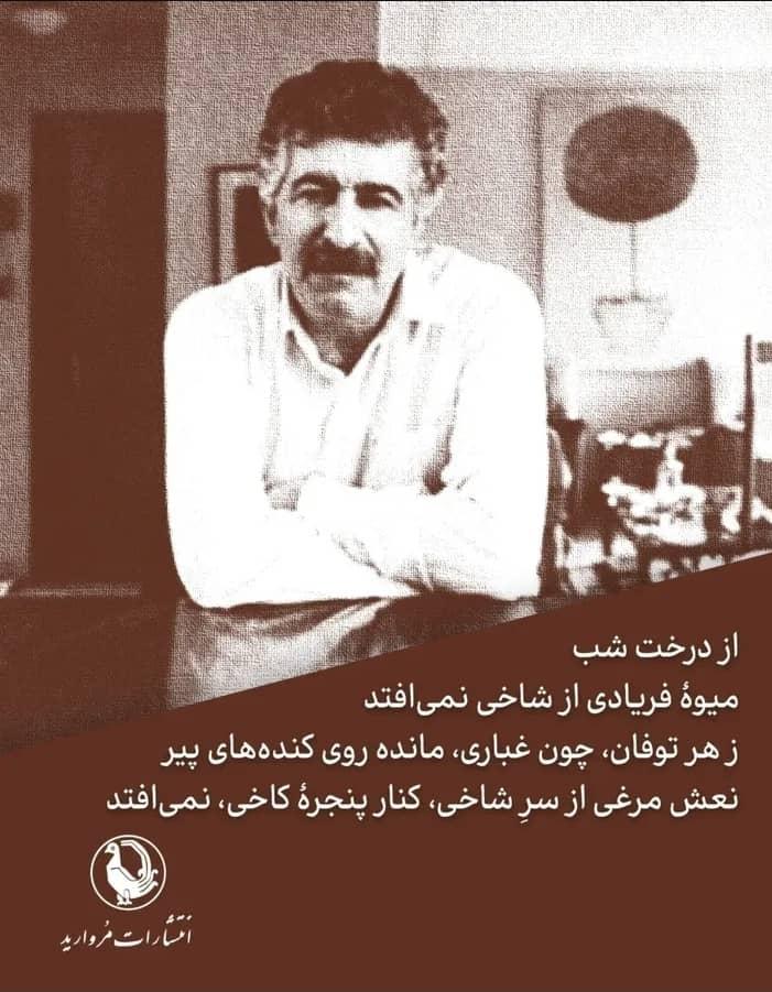 مروارید